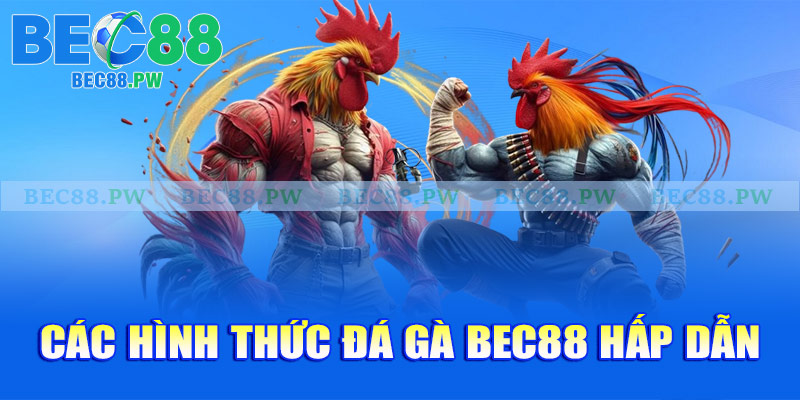 Các hình thức đá gà Bec88 hấp dẫn