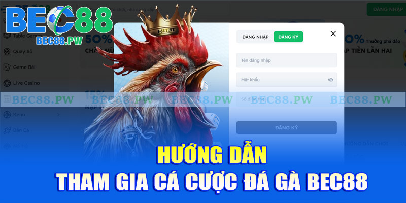 Hướng dẫn tham gia cá cược đá gà Bec88