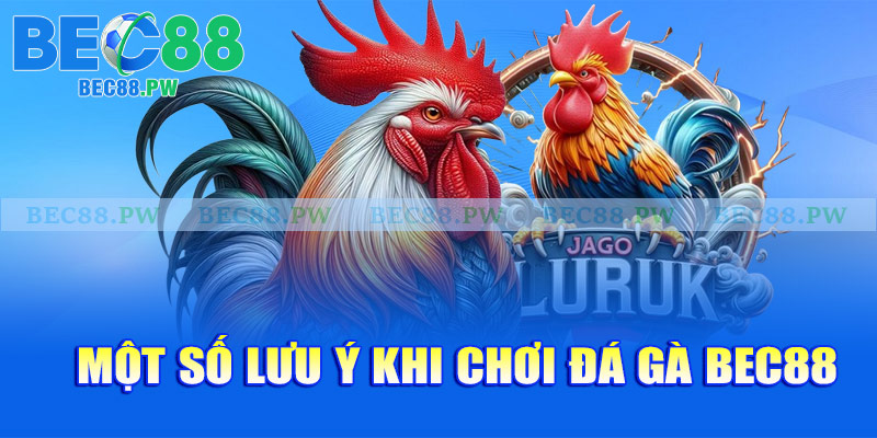 Một số lưu ý khi chơi đá gà Bec88