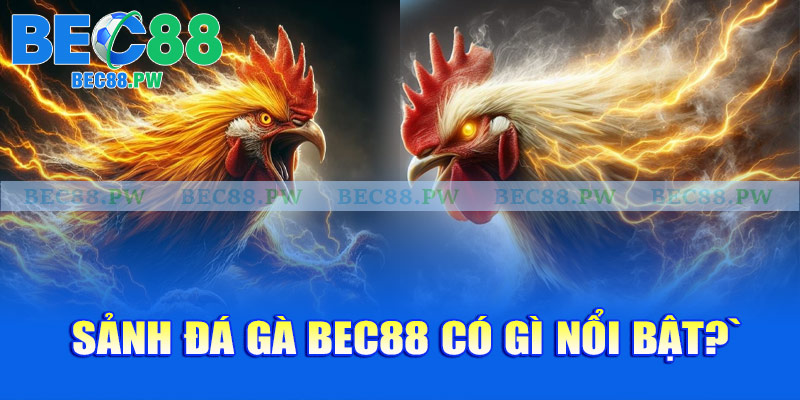 Sảnh đá gà Bec88 có gì nổi bật?