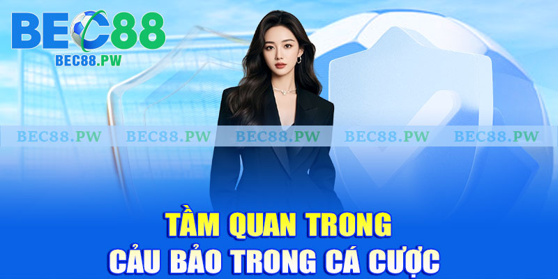 Chính sách bảo mật và tầm quan trọng trong cá cược